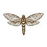 Sizzix Thinlits Die Set Perspective Moth (665434) Sizzix Thinlits Die Set Perspective Moth (665434)