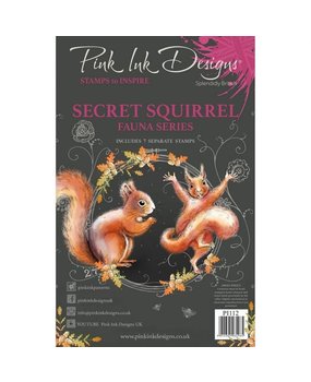 Pink Ink Designs Secret squirrel A5 Clear Stamp Set (PI112)