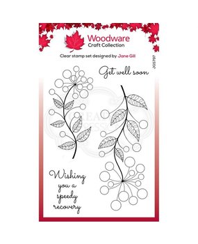 Woodware Singles Bubbel Bloem Abbie Clear Stamp (JGS797)