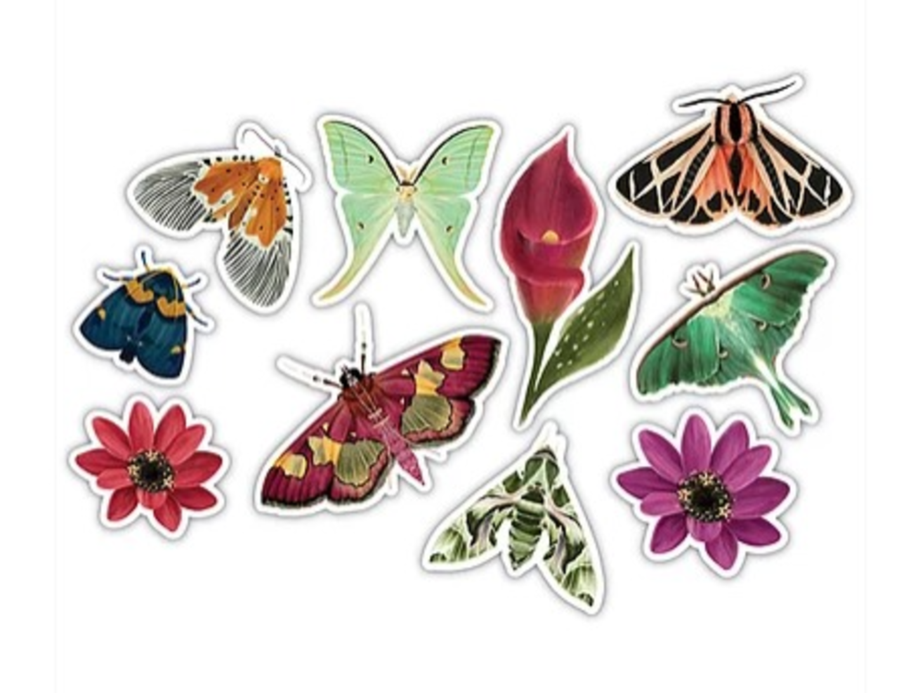 Craft Consortium Midnight Flight Wood shapes (CCWDNS017) Craft Consortium Midnight Flight Wood shapes (CCWDNS017)