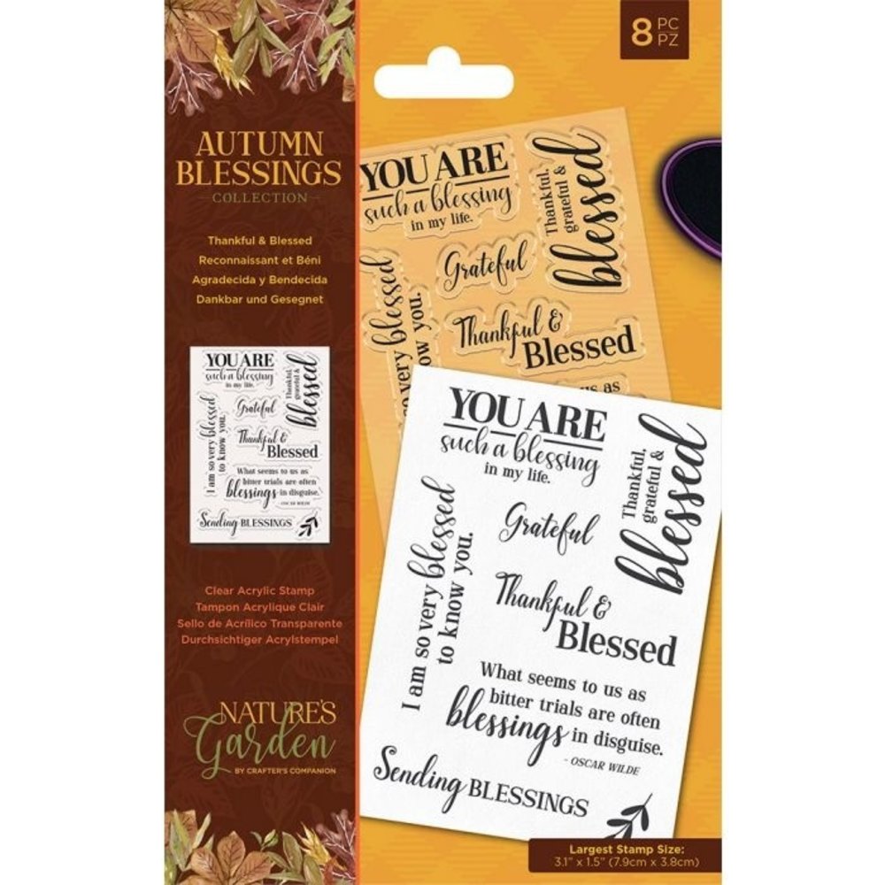 Crafter's Companion Autumn Blessings Collection Thankful & Blessed Clear Stamps (NG-AUT-ST-THAN) Crafter's Companion Autumn Blessings Collection Thankful & Blessed Clear Stamps (NG-AUT-ST-THAN)