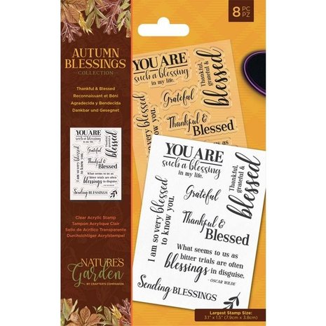 Crafter's Companion Autumn Blessings Collection Thankful & Blessed Clear Stamps (NG-AUT-ST-THAN) Crafter's Companion Autumn Blessings Collection Thankful & Blessed Clear Stamps (NG-AUT-ST-THAN)
