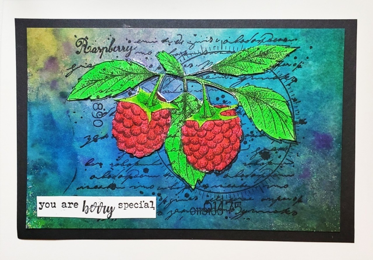IndigoBlu Raspberries A6 Rubber Stamps (IND0865) IndigoBlu Raspberries A6 Rubber Stamps (IND0865)