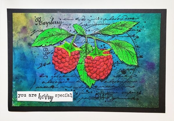 IndigoBlu Raspberries A6 Rubber Stamps (IND0865) IndigoBlu Raspberries A6 Rubber Stamps (IND0865)