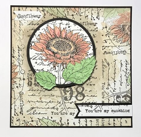 IndigoBlu Sunflower Bloom A6 Rubber Stamps (IND0866) IndigoBlu Sunflower Bloom A6 Rubber Stamps (IND0866)