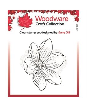 Woodware Singles Mini Garden Spray Clear Stamp (JGM007)