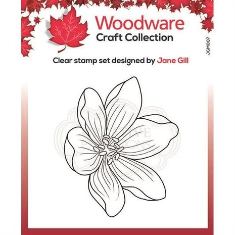Woodware Singles Mini Garden Spray Clear Stamp (JGM007)