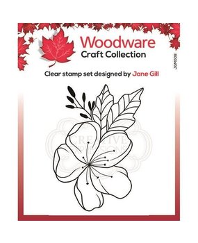 Woodware Singles Mini Floral Wonder Clear Stamp (JGM008) Woodware Singles Mini Floral Wonder Clear Stamp (JGM008)