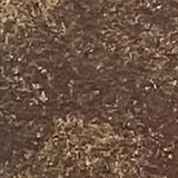 Lindy's Stamp Gang Toadstool Taupe Starburst Spray (ss-097) Lindy's Stamp Gang Toadstool Taupe Starburst Spray (ss-097)