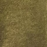 Lindy's Stamp Gang Fairy Garden Green Starburst Spray (ss-101) Lindy's Stamp Gang Fairy Garden Green Starburst Spray (ss-101)