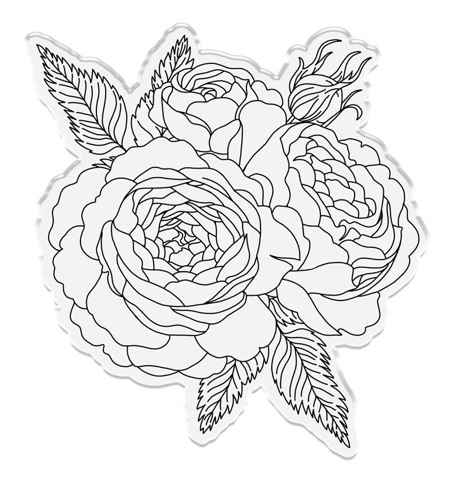 Crafter's Companion Roses in Bloom Clear Stamps (CC-ST-CA-ROSIB)