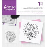 Crafter's Companion Spring is Here Clear Stamps (CC-ST-CA-SPRHE)