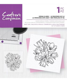 Crafter's Companion Spring is Here Clear Stamps (CC-ST-CA-SPRHE) Crafter's Companion Spring is Here Clear Stamps (CC-ST-CA-SPRHE)