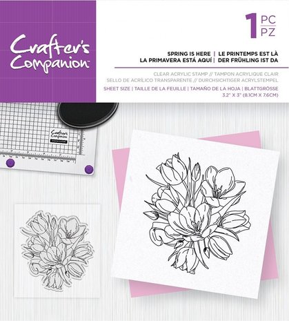 Crafter's Companion Spring is Here Clear Stamps (CC-ST-CA-SPRHE) Crafter's Companion Spring is Here Clear Stamps (CC-ST-CA-SPRHE)