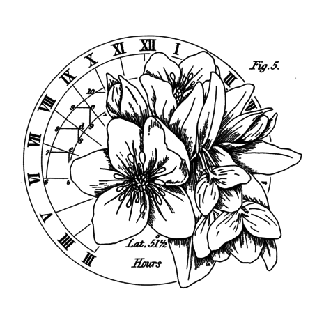 Crafty Individuals The Circle of Latitudes Unmounted Rubber Stamps (CI-586) Crafty Individuals The Circle of Latitudes Unmounted Rubber Stamps (CI-586)