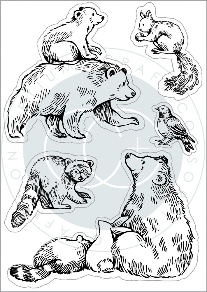 Craft Consortium In The Forest Clear Stamps Bear (CCSTMP072)