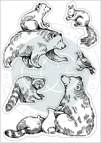 Craft Consortium In The Forest Clear Stamps Bear (CCSTMP072)