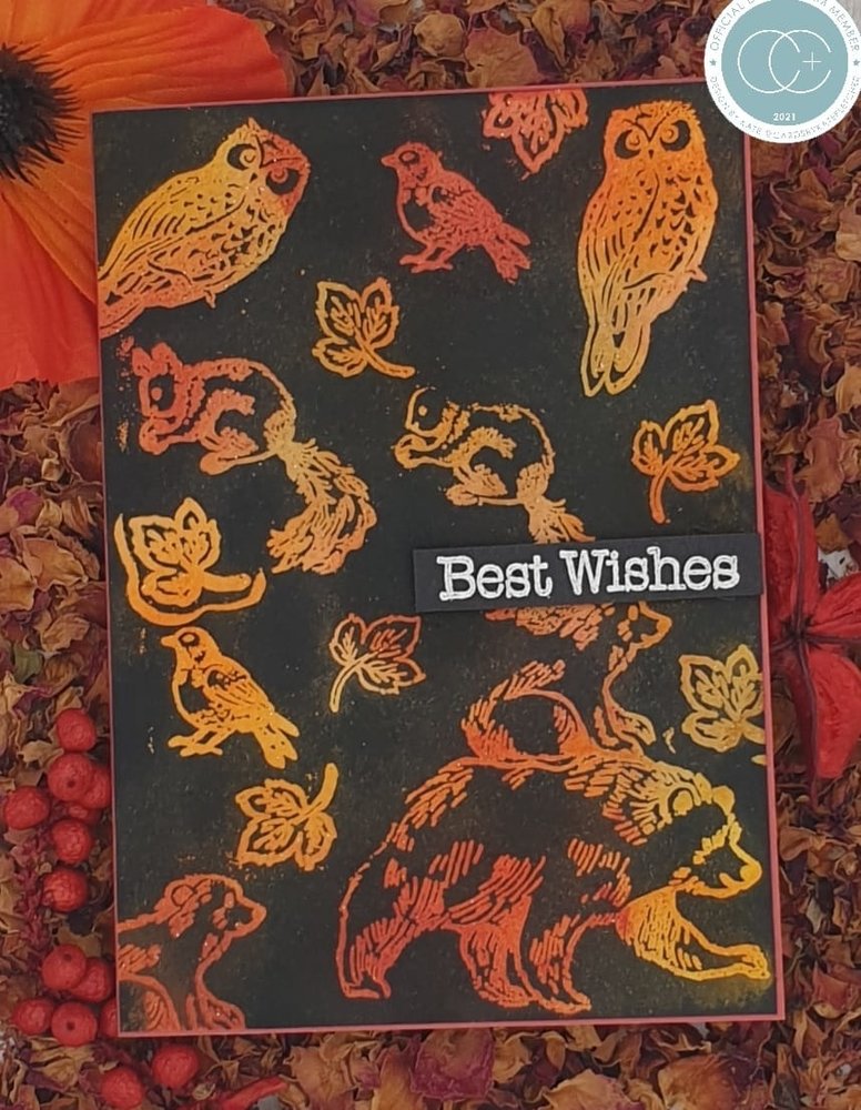 Craft Consortium In The Forest Clear Stamps Bear (CCSTMP072)