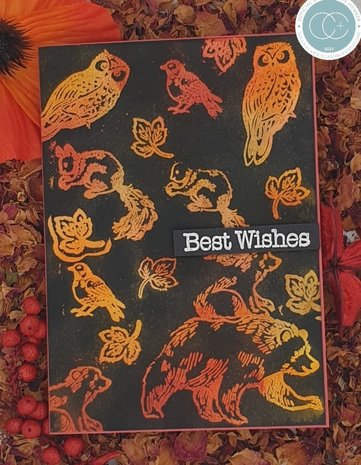 Craft Consortium In The Forest Clear Stamps Bear (CCSTMP072)