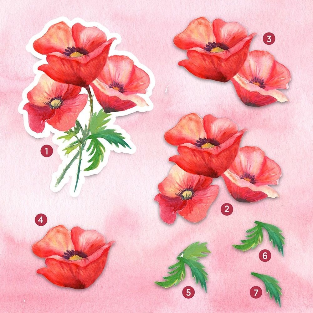 Crafter's Companion Precious Poppies Die-Cut Decoupage Topper Pad (CC-DTPAD-PREPO) Crafter's Companion Precious Poppies Die-Cut Decoupage Topper Pad (CC-DTPAD-PREPO)