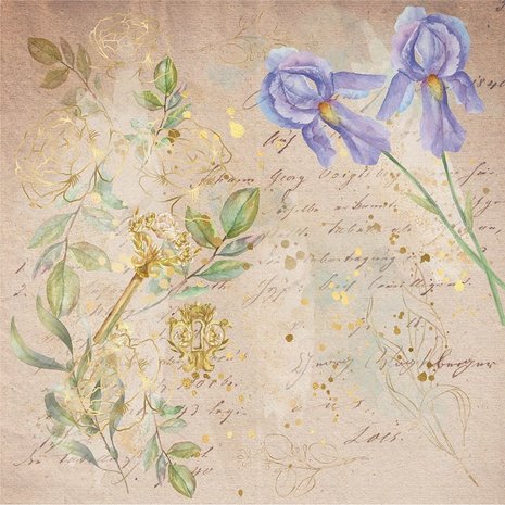 Crafter's Companion Secret Garden Collection 8x8 Inch Vellum Pad (NG-SG-VELPAD) Crafter's Companion Secret Garden Collection 8x8 Inch Vellum Pad (NG-SG-VELPAD)