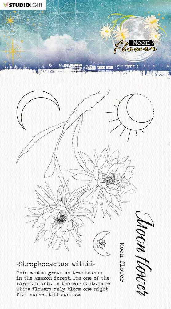 Studio Light Moon Flower Strophocactus Wittii Clear Stamp (SL-MFL-STAMP134) Studio Light Moon Flower Strophocactus Wittii Clear Stamp (SL-MFL-STAMP134)