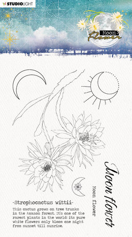 Studio Light Moon Flower Strophocactus Wittii Clear Stamp (SL-MFL-STAMP134) Studio Light Moon Flower Strophocactus Wittii Clear Stamp (SL-MFL-STAMP134)