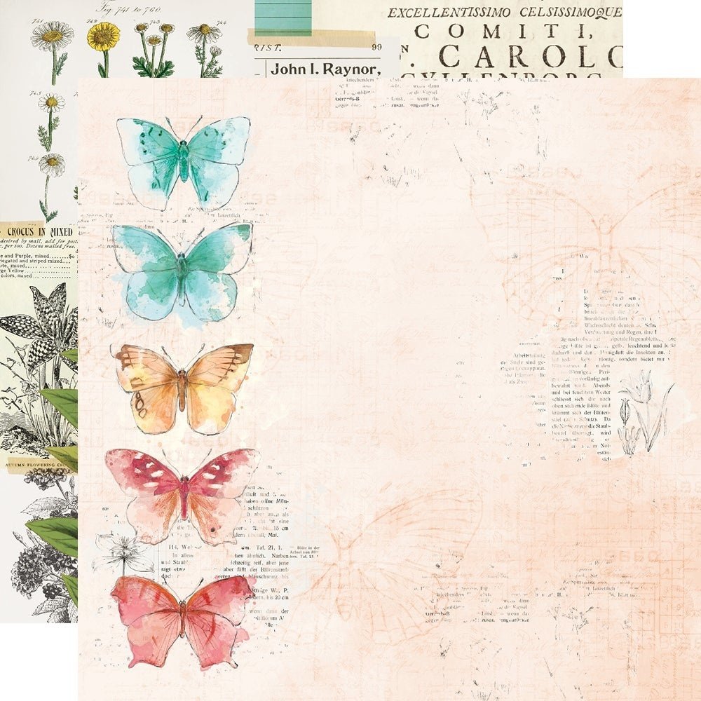 Simple Stories Simple Vintage Cottage Fields 12x12 Inch Collector's Essential Kit (14736)