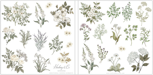 Craft Consortium Belle Fleur 12x12 Inch Paper Pad (CCPPAD032) Craft Consortium Belle Fleur 12x12 Inch Paper Pad (CCPPAD032)