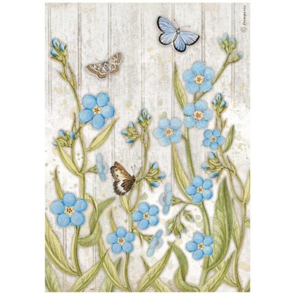 Stamperia Romantic Garden House Blue Flowers and Butterfly Rice Paper A4 (DFSA4667) Stamperia Romantic Garden House Blue Flowers and Butterfly Rice Paper A4 (DFSA4667)