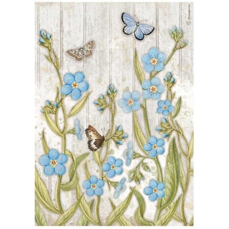 Stamperia Romantic Garden House Blue Flowers and Butterfly Rice Paper A4 (DFSA4667) Stamperia Romantic Garden House Blue Flowers and Butterfly Rice Paper A4 (DFSA4667)