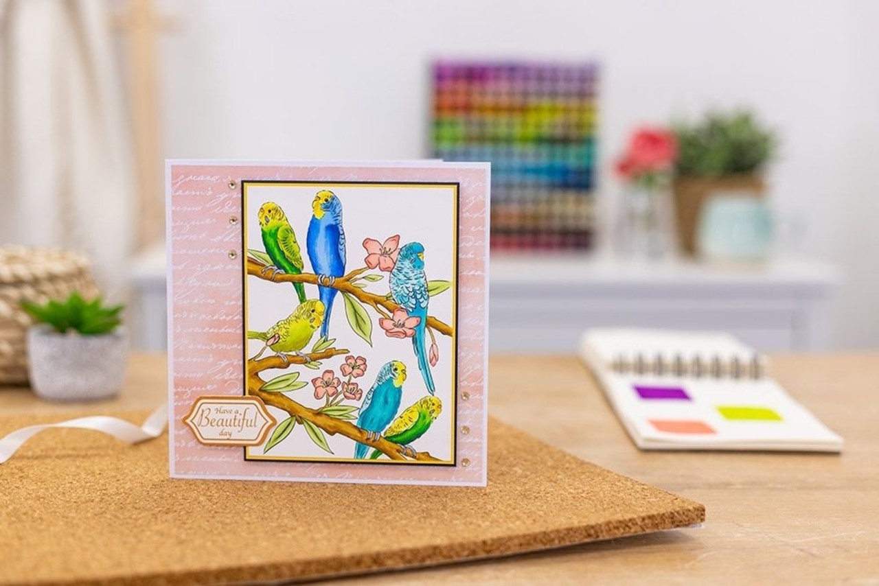 Crafter's Companion Card Front Colouring Pads Floral Flight (CC-COLPAD5-FLFL)