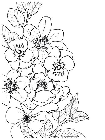 Crafter's Companion Card Front Colouring Pads Butterflies And Botanics (CC-COLPAD5-BUBO) Crafter's Companion Card Front Colouring Pads Butterflies And Botanics (CC-COLPAD5-BUBO)