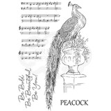 Woodware Magnificent Peacock Clear Stamp (JGS666)