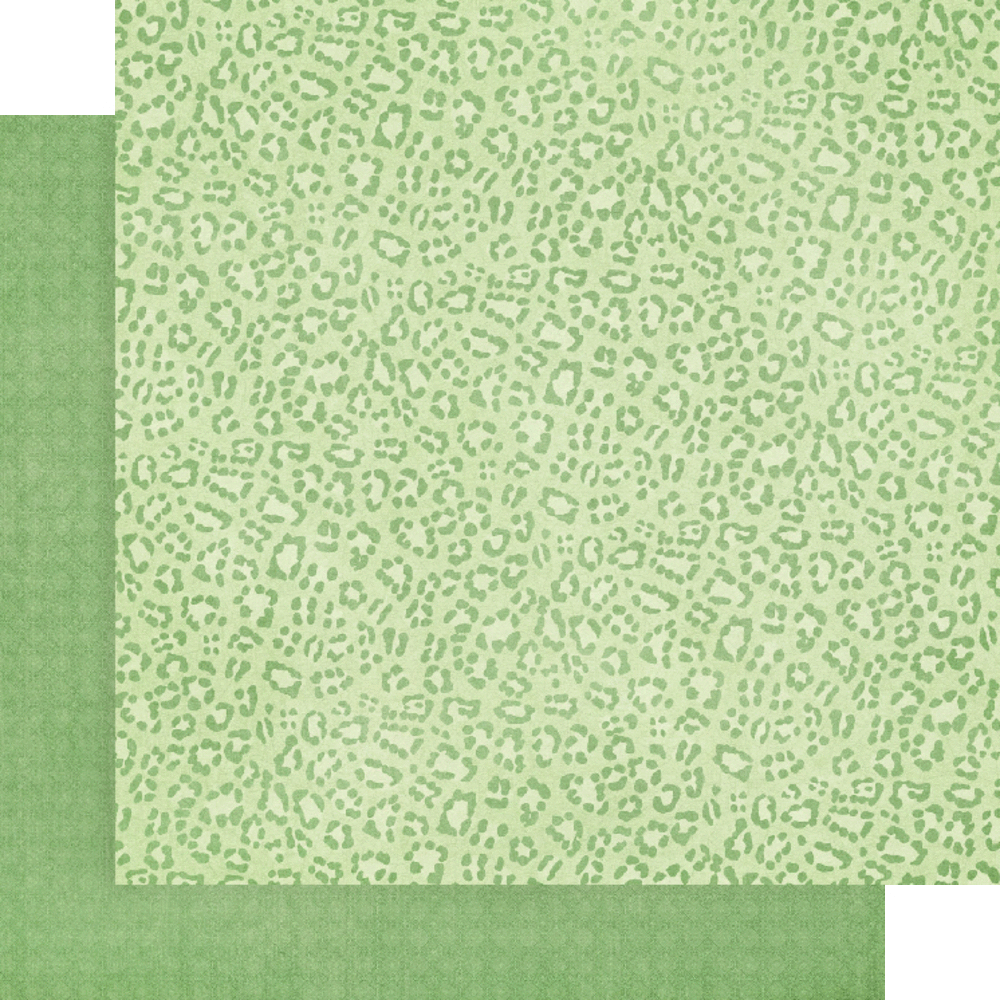 Graphic 45 Wild & Free 12x12 Inch Patterns & Solids Paper Pack (4502406) Graphic 45 Wild & Free 12x12 Inch Patterns & Solids Paper Pack (4502406)