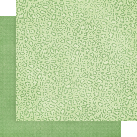 Graphic 45 Wild & Free 12x12 Inch Patterns & Solids Paper Pack (4502406) Graphic 45 Wild & Free 12x12 Inch Patterns & Solids Paper Pack (4502406)