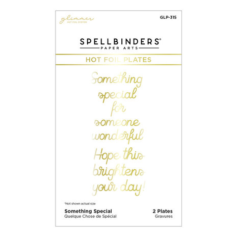 Spellbinders Something Special Glimmer Hot Foil Plate (GLP-315)