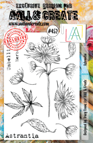 AALL and Create Clear Stamp Set A5 Astrantia (AALL-TP-452) AALL and Create Clear Stamp Set A5 Astrantia (AALL-TP-452)