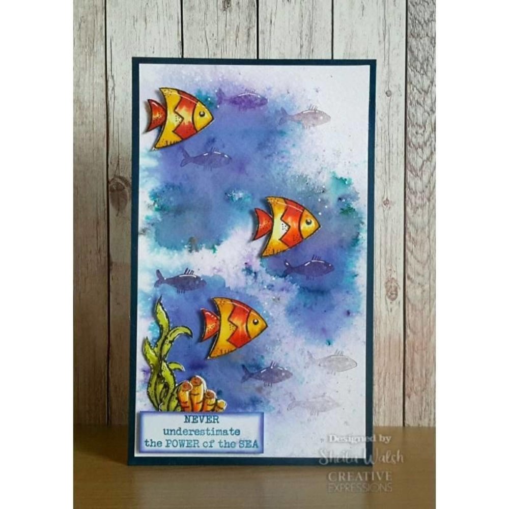 Woodware Coral Reef Clear Stamp (FRS418) Woodware Coral Reef Clear Stamp (FRS418)