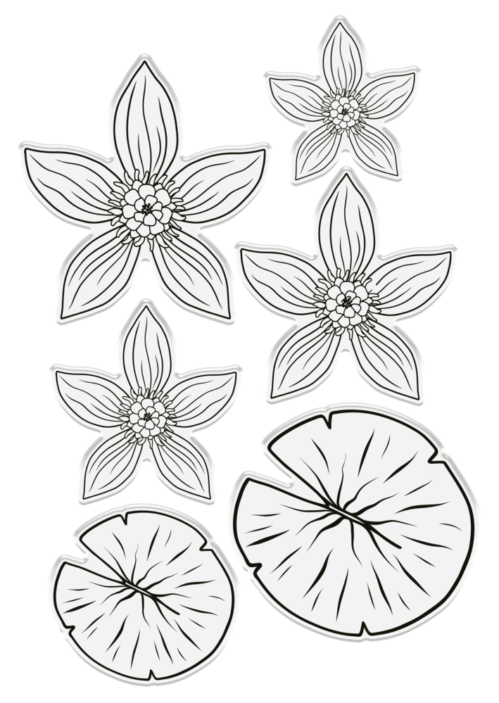 Crafter's Companion Dancing Dragonfly Water Lily Stamp & Die (S-DDF-STD-WLIL) Crafter's Companion Dancing Dragonfly Water Lily Stamp & Die (S-DDF-STD-WLIL)