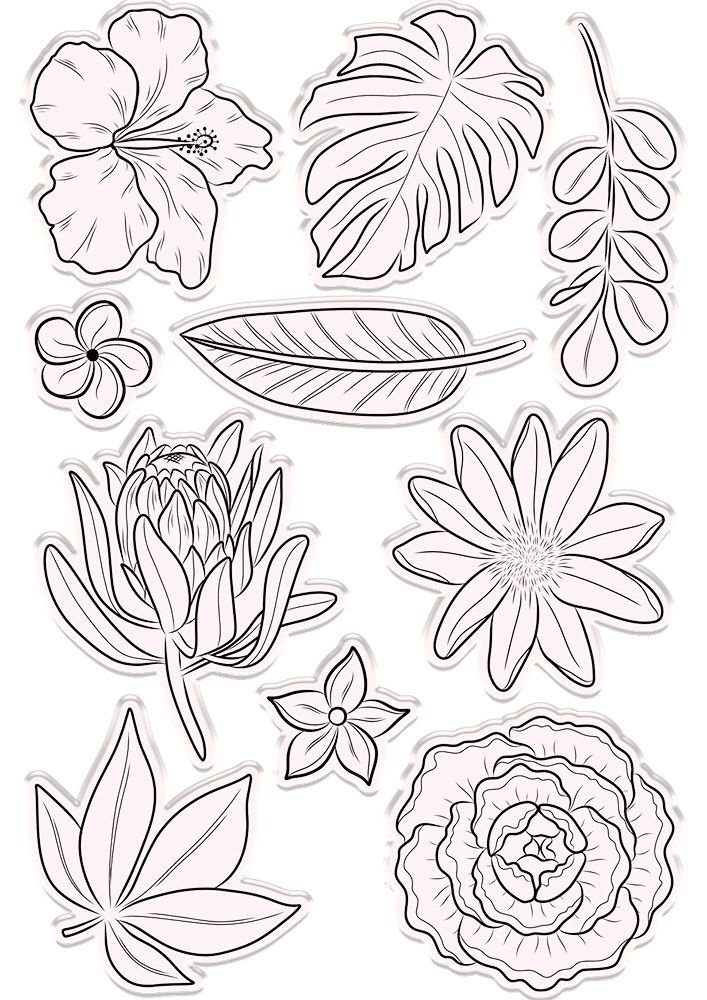 Crafter's Companion Hummingbird Fragrant Florals Stamp & Die (NG-HB-STD-FRFL) Crafter's Companion Hummingbird Fragrant Florals Stamp & Die (NG-HB-STD-FRFL)