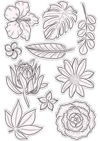 Crafter's Companion Hummingbird Fragrant Florals Stamp & Die (NG-HB-STD-FRFL) Crafter's Companion Hummingbird Fragrant Florals Stamp & Die (NG-HB-STD-FRFL)