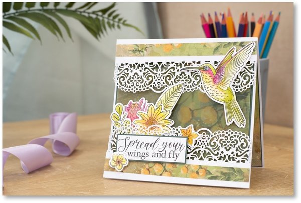Crafter's Companion Hummingbird Fragrant Florals Stamp & Die (NG-HB-STD-FRFL) Crafter's Companion Hummingbird Fragrant Florals Stamp & Die (NG-HB-STD-FRFL)