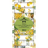 Paper Favourites Mimosa Slimline Paper Pack (PFS048)