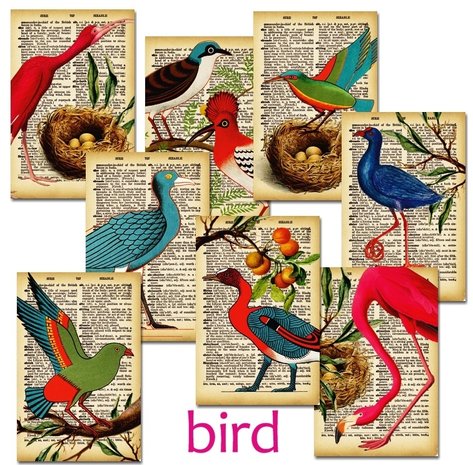 Decorer Bird Paper Pack (7x10,8cm) (DECOR-M99)