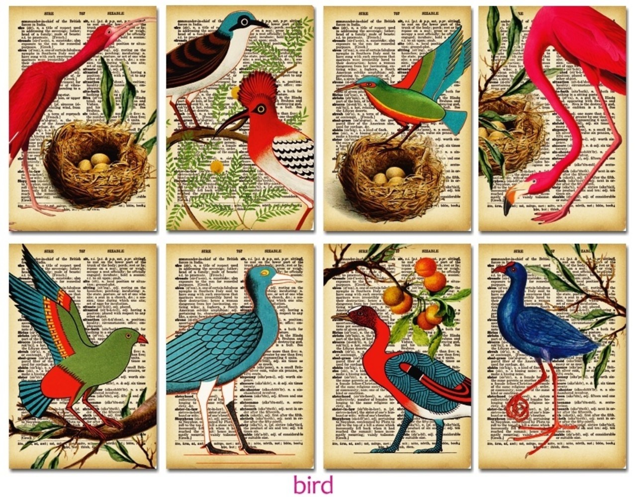 Decorer Bird Paper Pack (7x10,8cm) (DECOR-M99)