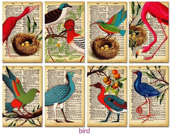 Decorer Bird Paper Pack (7x10,8cm) (DECOR-M99)