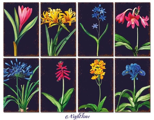 Decorer Nighttime Paper Pack (7x10,8cm) (DECOR-M100) Decorer Nighttime Paper Pack (7x10,8cm) (DECOR-M100)