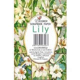 Decorer Lily Paper Pack (7x10,8cm) (DECOR-M102)