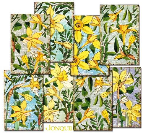 Decorer Jonquil Paper Pack (7x10,8cm) (DECOR-M103)